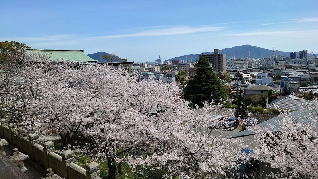 f:id:carpkeiji:20220401153053j:plain