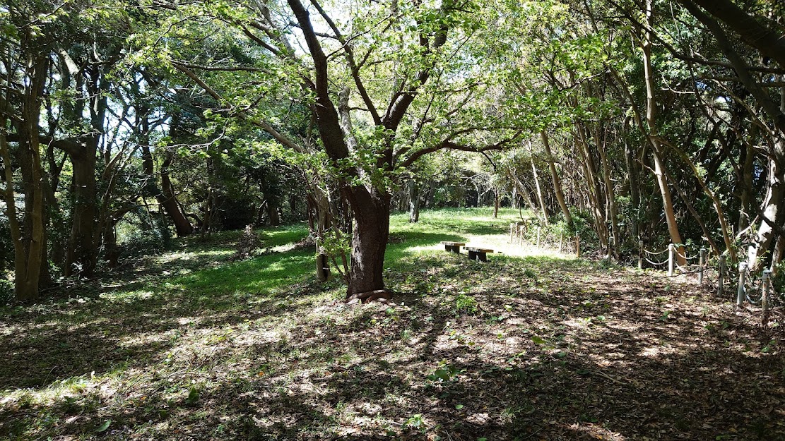 f:id:carpkeiji:20220409151630j:plain