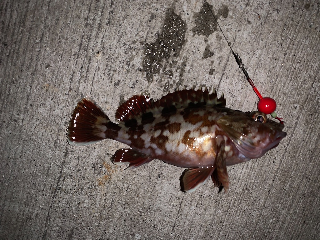 f:id:carpoyaji:20201029195241j:image