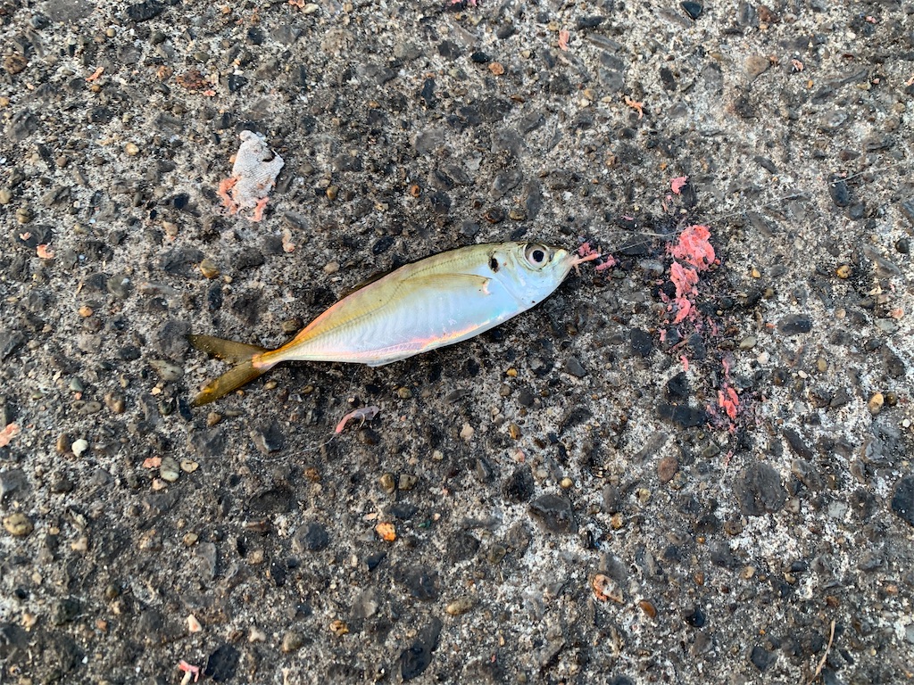 f:id:carpoyaji:20201029195249j:image