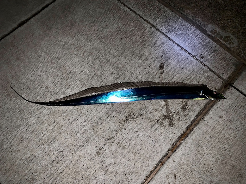 f:id:carpoyaji:20201116204404j:image