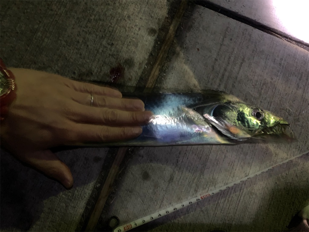 f:id:carpoyaji:20201116204651j:image