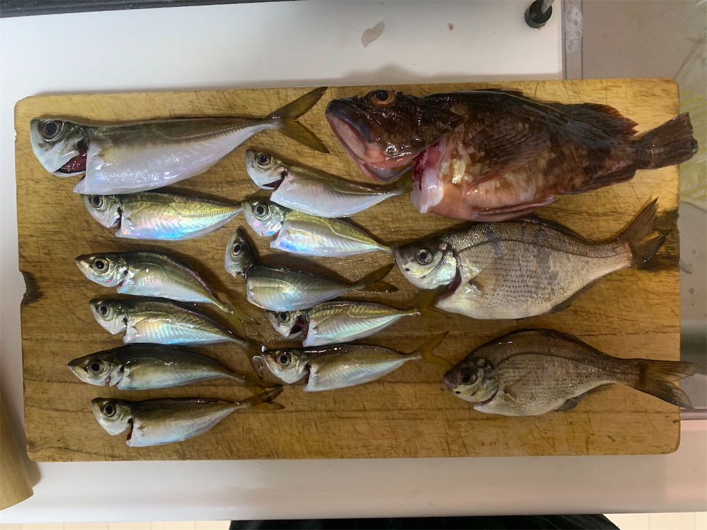 f:id:carpoyaji:20201116204753j:image