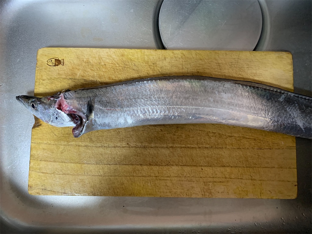 f:id:carpoyaji:20201116204809j:image