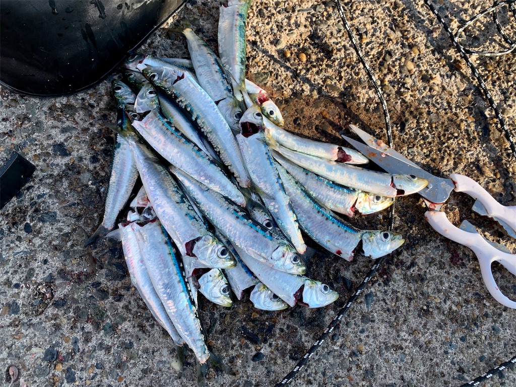 f:id:carpoyaji:20201208210348j:image