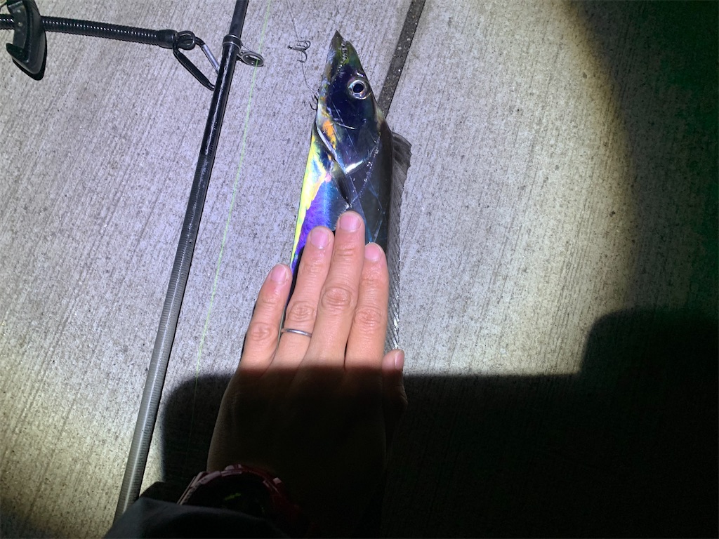 f:id:carpoyaji:20201209213131j:image