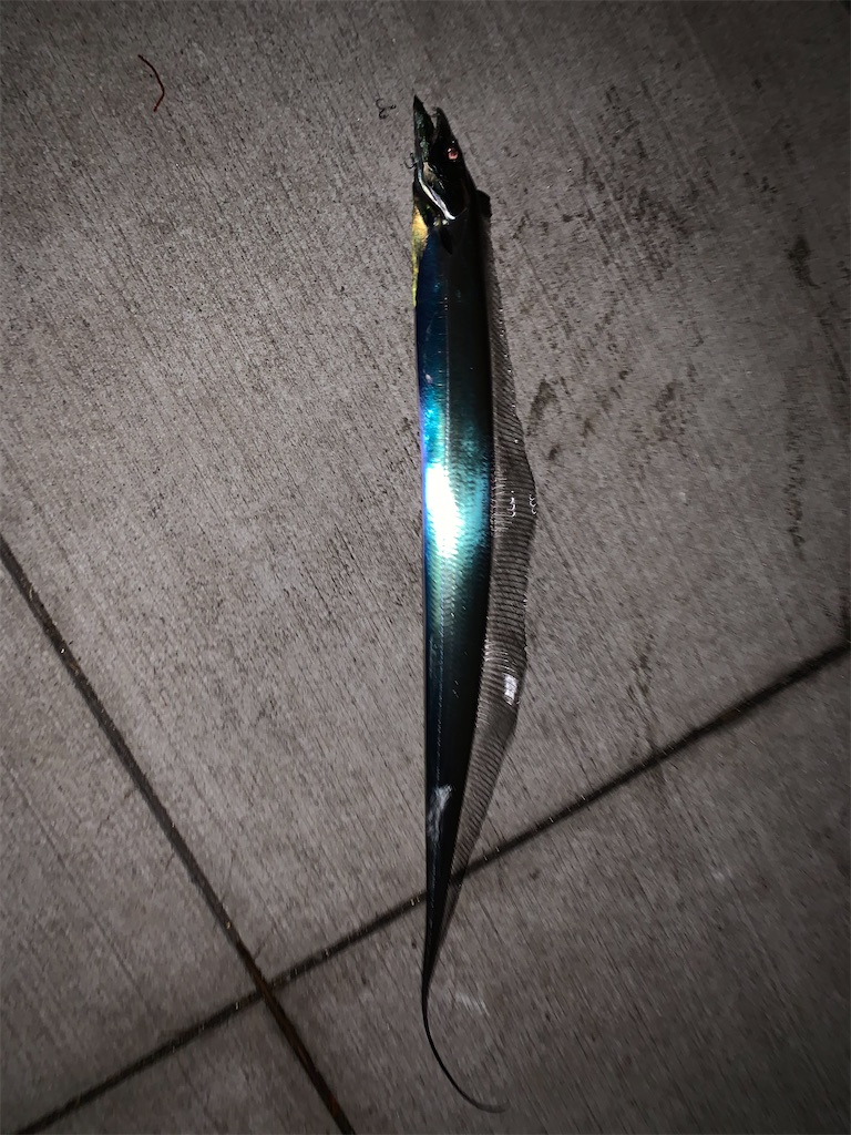 f:id:carpoyaji:20201209213135j:image