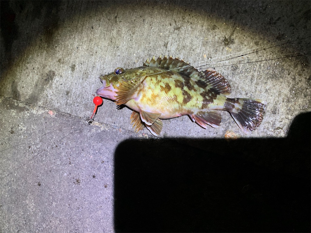 f:id:carpoyaji:20201209213957j:image