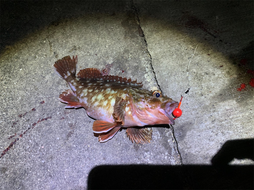 f:id:carpoyaji:20201209214001j:image