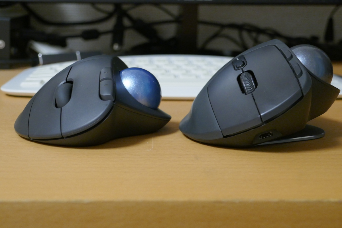 f:id:carrion-crow:20201206194631j:plain