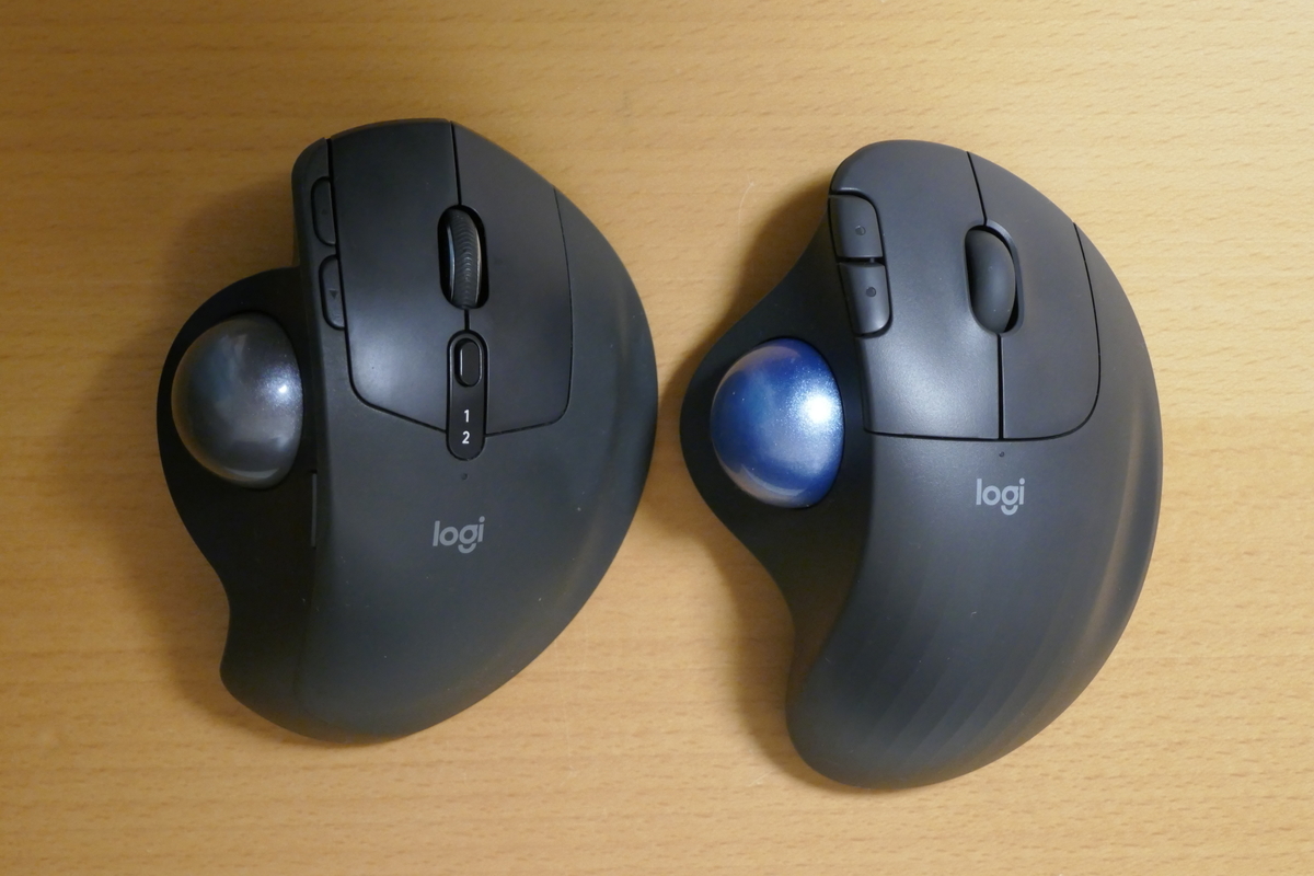 f:id:carrion-crow:20201206194645j:plain