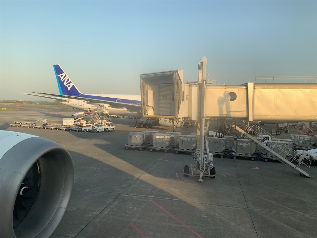 f:id:carrothalo:20190525232710j:image f:id:carrothalo:20190525232710j:image