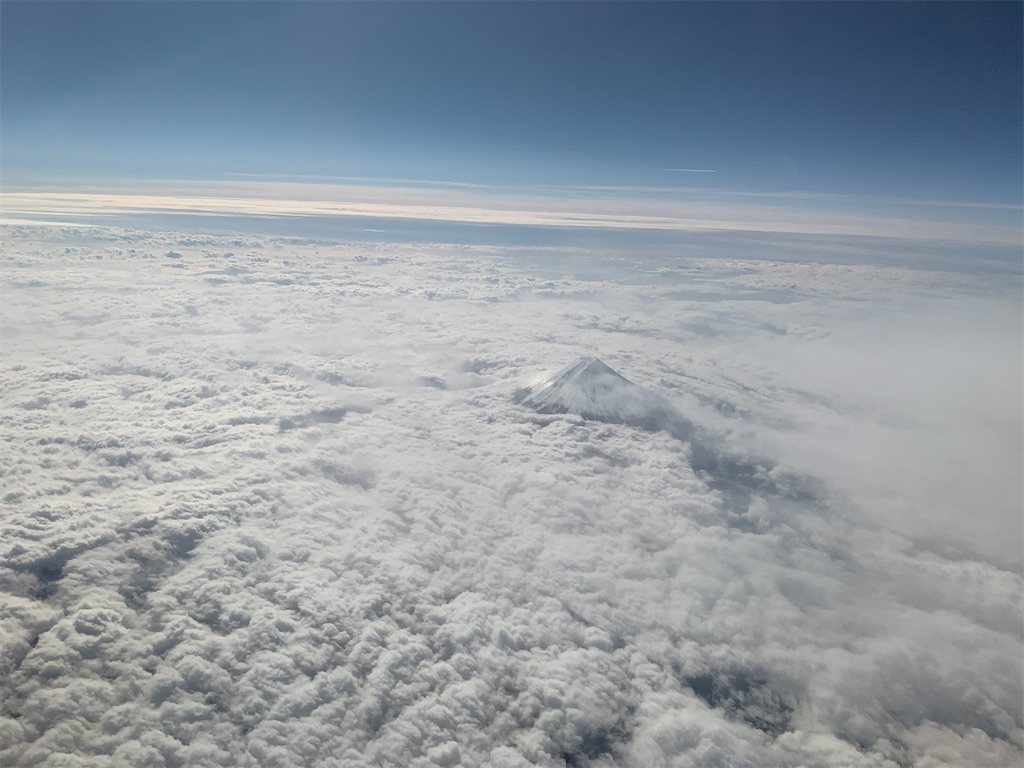 f:id:carrothalo:20200125123134j:image f:id:carrothalo:20200125123134j:image