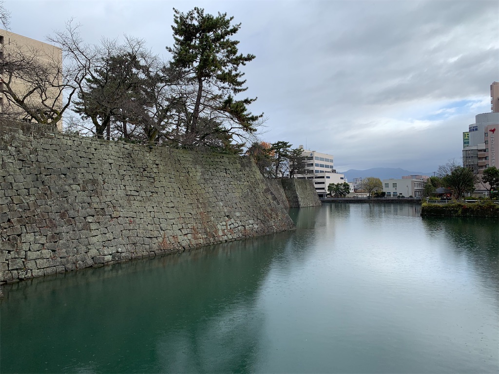 f:id:carrothalo:20201205224056j:image f:id:carrothalo:20201205224056j:image