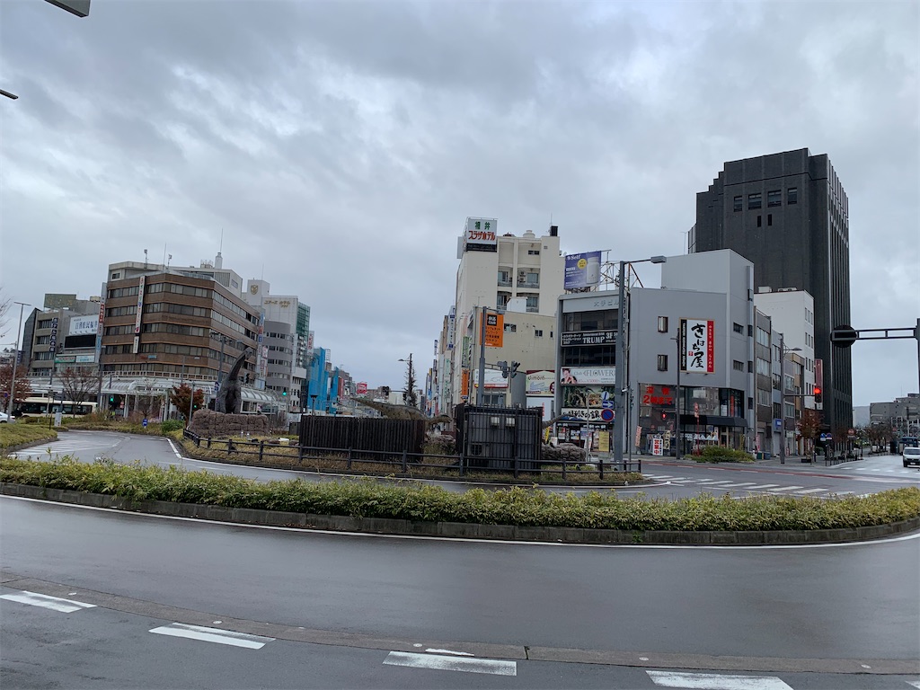 f:id:carrothalo:20201205224241j:image f:id:carrothalo:20201205224241j:image