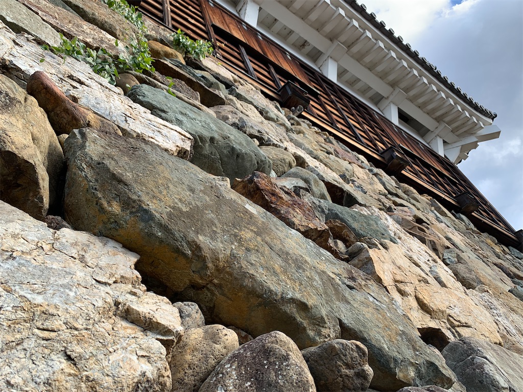 f:id:carrothalo:20201205224849j:image f:id:carrothalo:20201205224849j:image