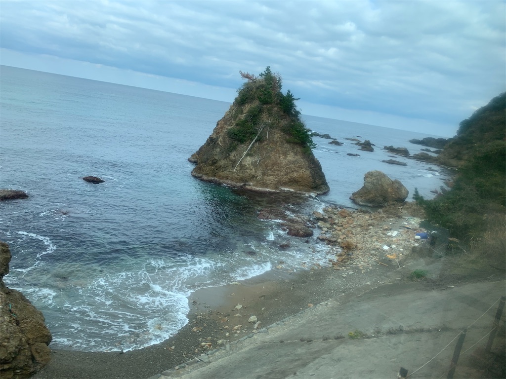 f:id:carrothalo:20201207020300j:image f:id:carrothalo:20201207020300j:image