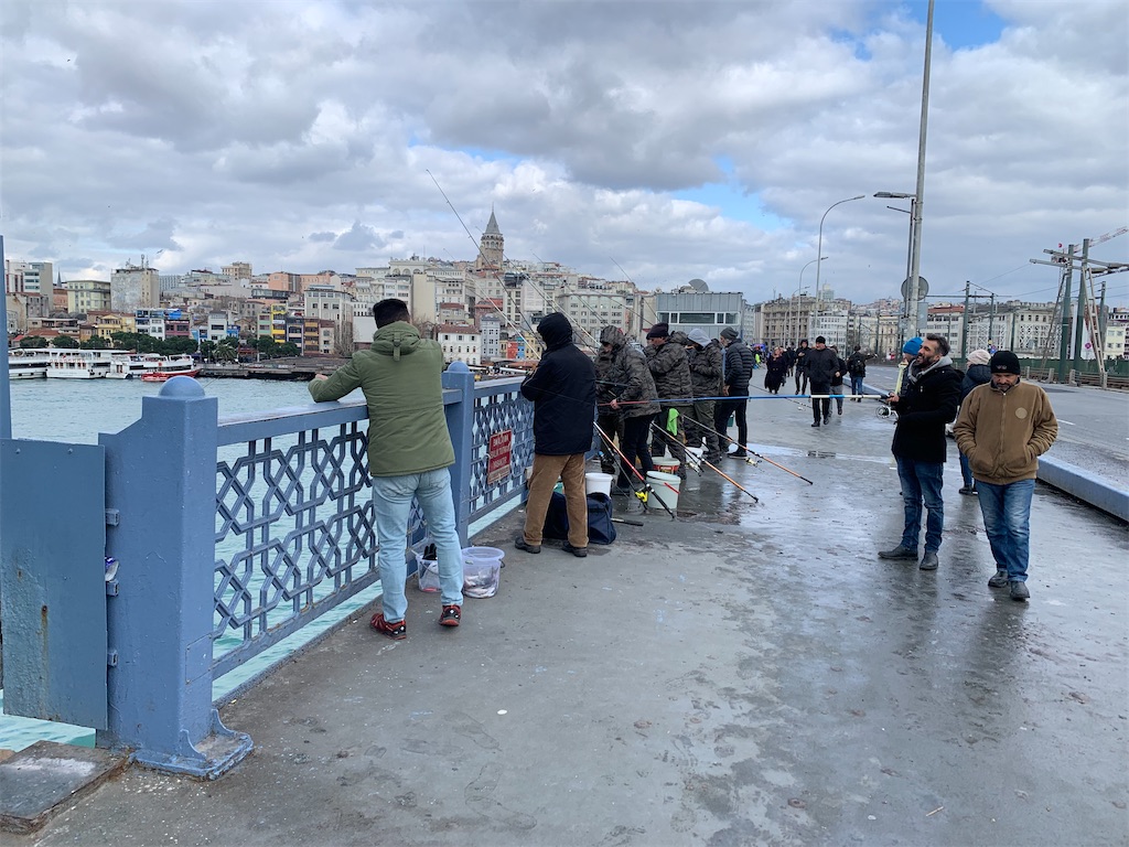 f:id:carrothalo:20230218005138j:image f:id:carrothalo:20230218005138j:image