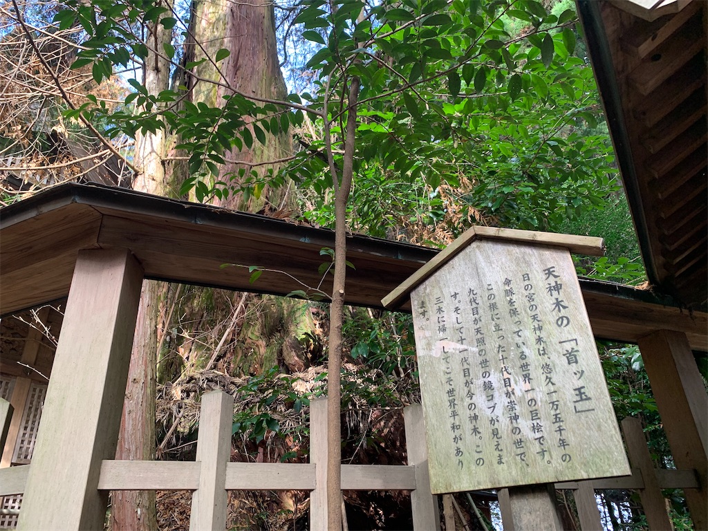 f:id:carrothalo:20231119200008j:image f:id:carrothalo:20231119200008j:image