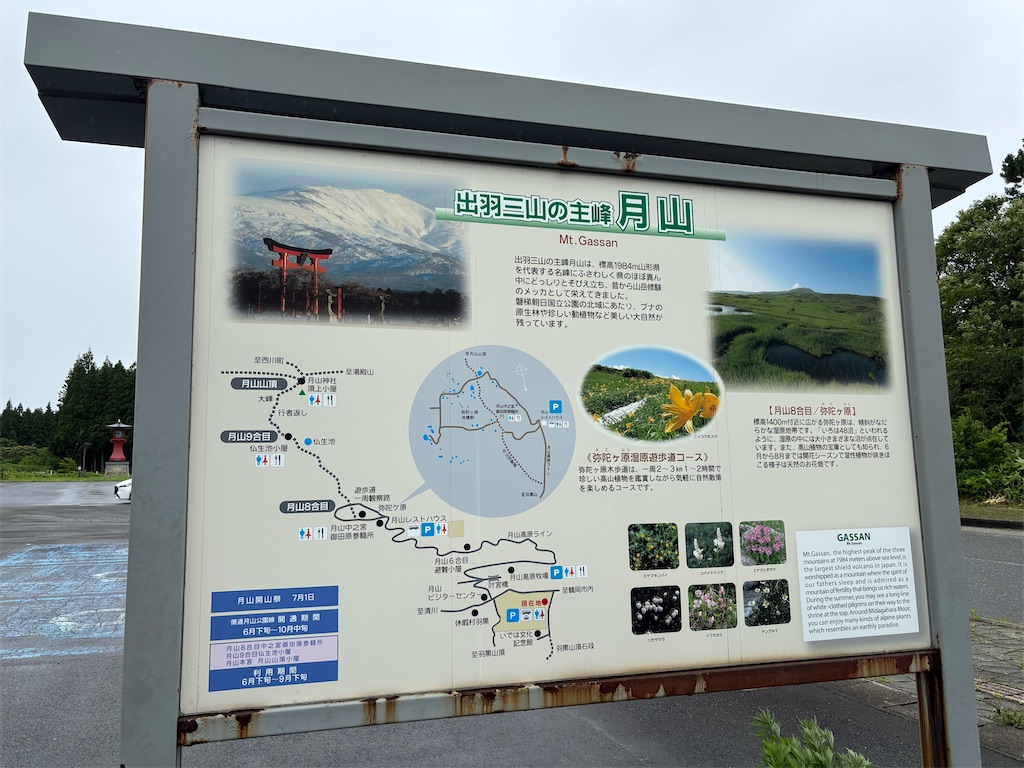 f:id:carrothalo:20260622193204j:image f:id:carrothalo:20260622193204j:image