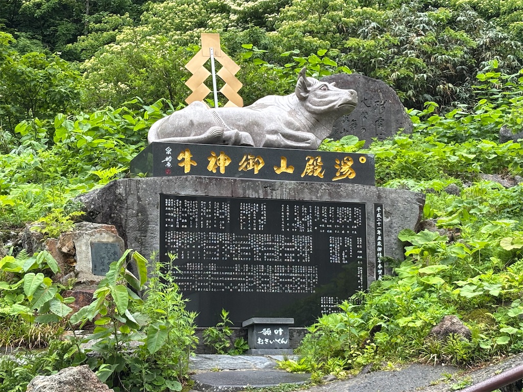 f:id:carrothalo:20260622193424j:image f:id:carrothalo:20260622193424j:image