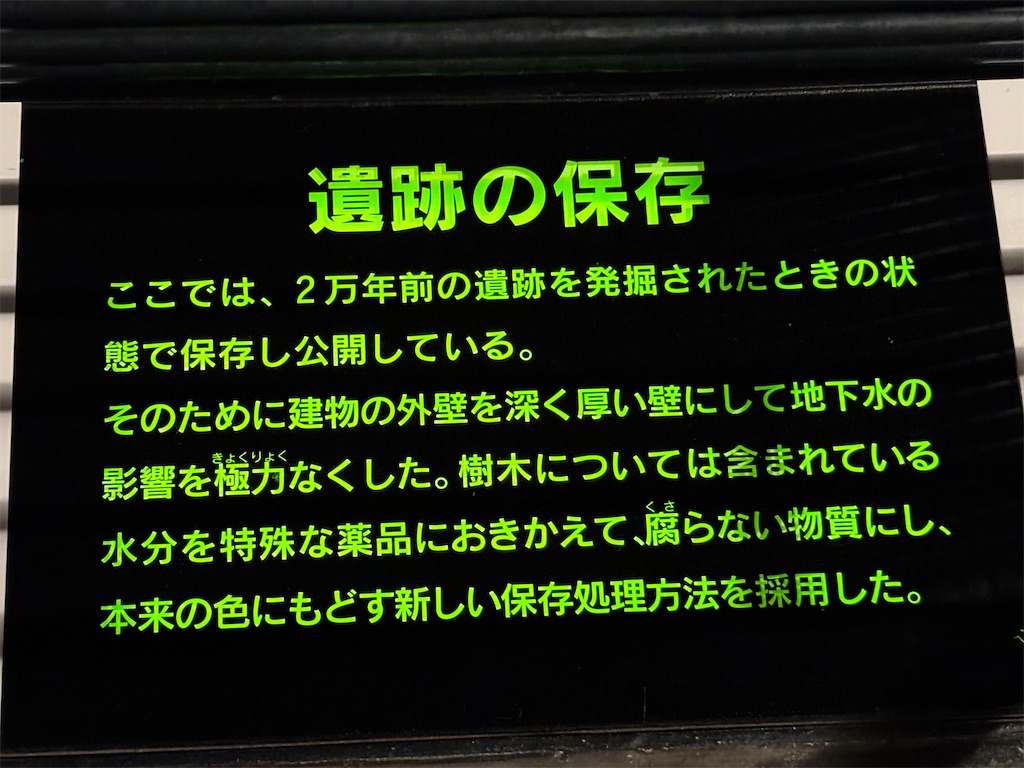 f:id:carrothalo:20260623161129j:image f:id:carrothalo:20260623161129j:image