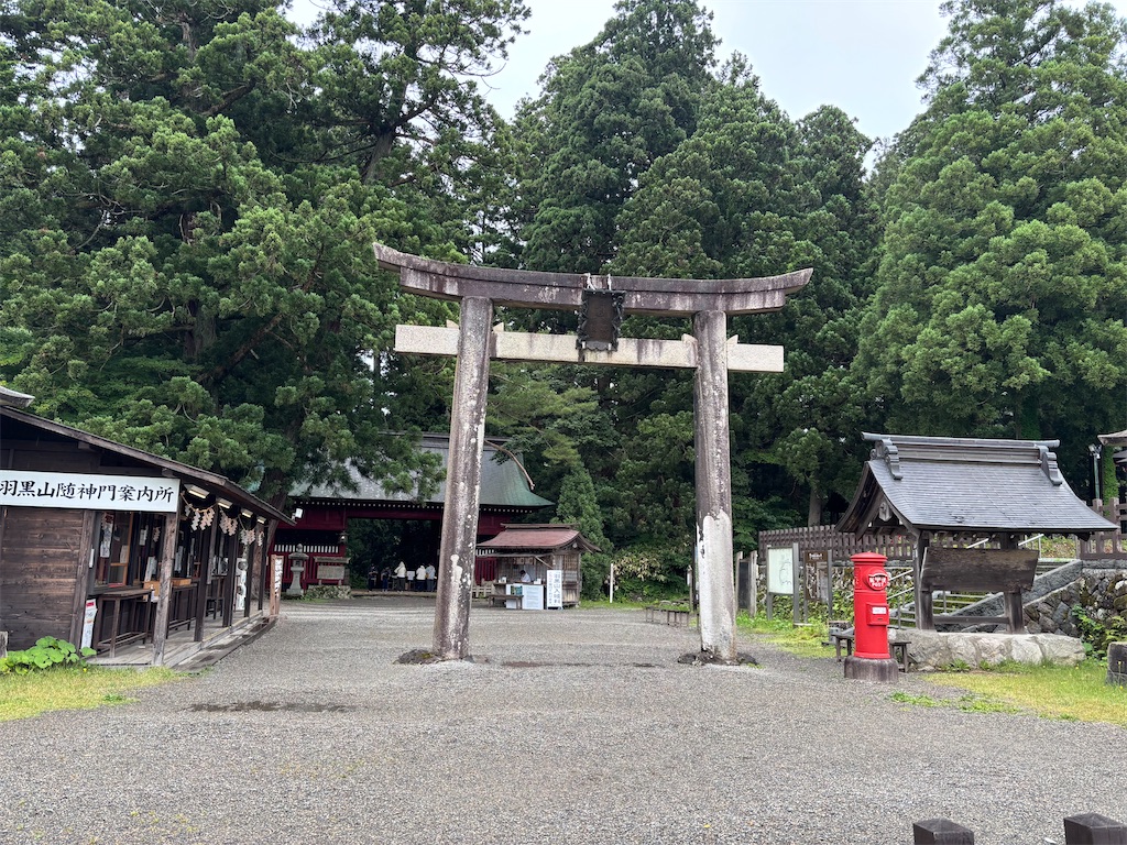 f:id:carrothalo:20260623205458j:image f:id:carrothalo:20260623205458j:image