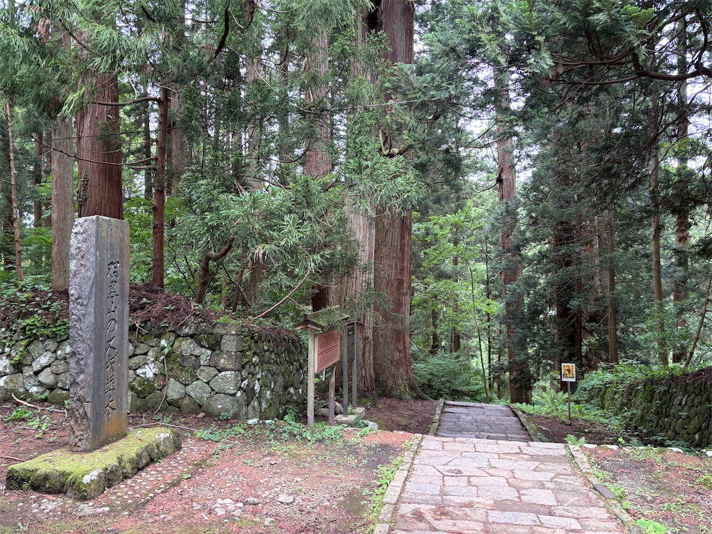 f:id:carrothalo:20260623205541j:image f:id:carrothalo:20260623205541j:image