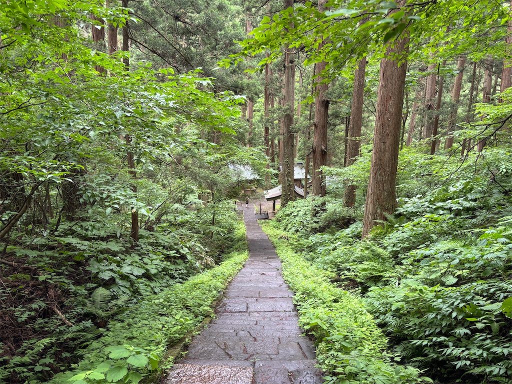 f:id:carrothalo:20260623205552j:image f:id:carrothalo:20260623205552j:image