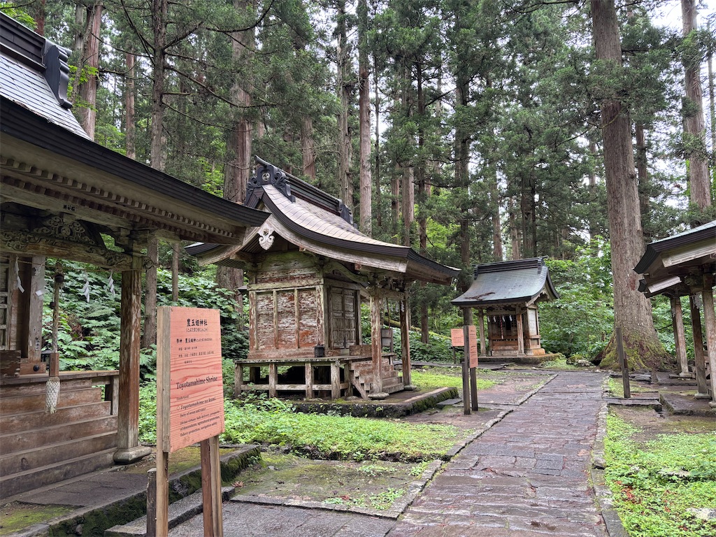 f:id:carrothalo:20260623205608j:image f:id:carrothalo:20260623205608j:image