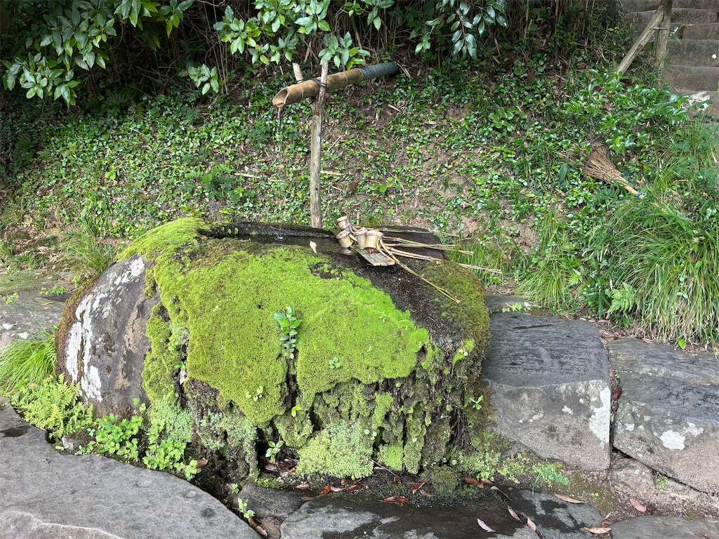 f:id:carrothalo:20260804071137j:image f:id:carrothalo:20260804071137j:image
