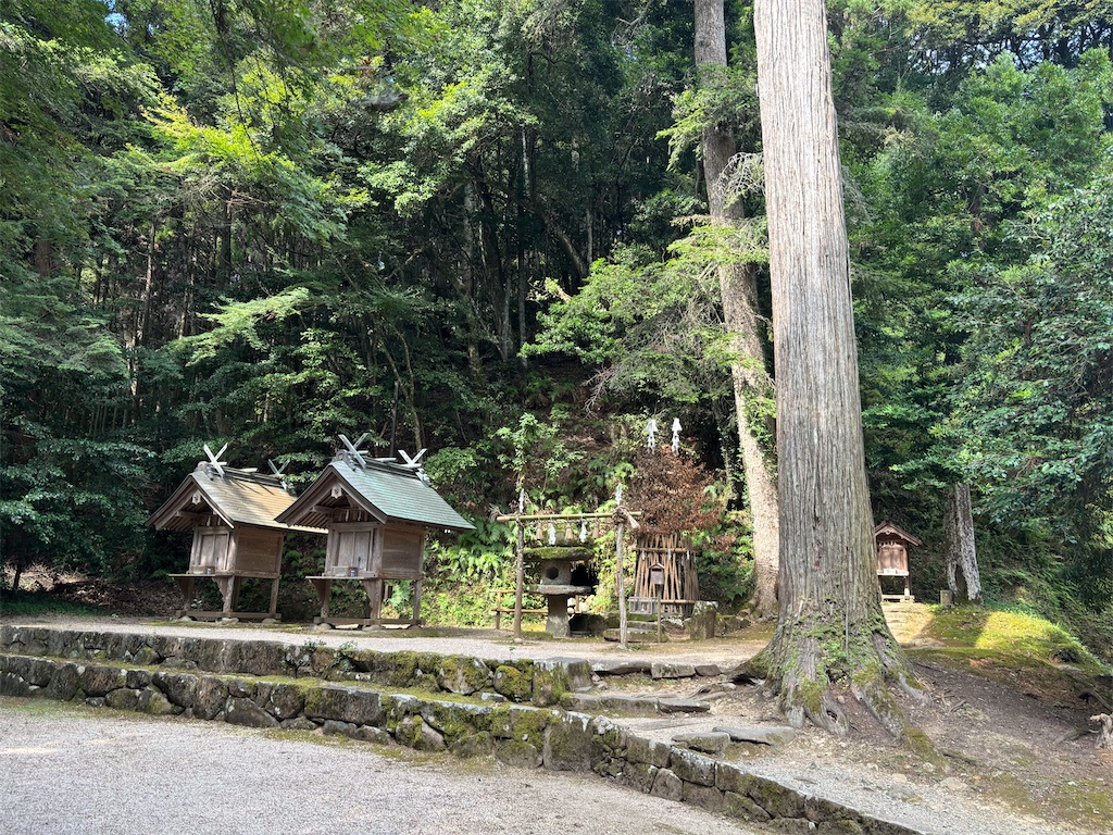 f:id:carrothalo:20260804071315j:image f:id:carrothalo:20260804071315j:image