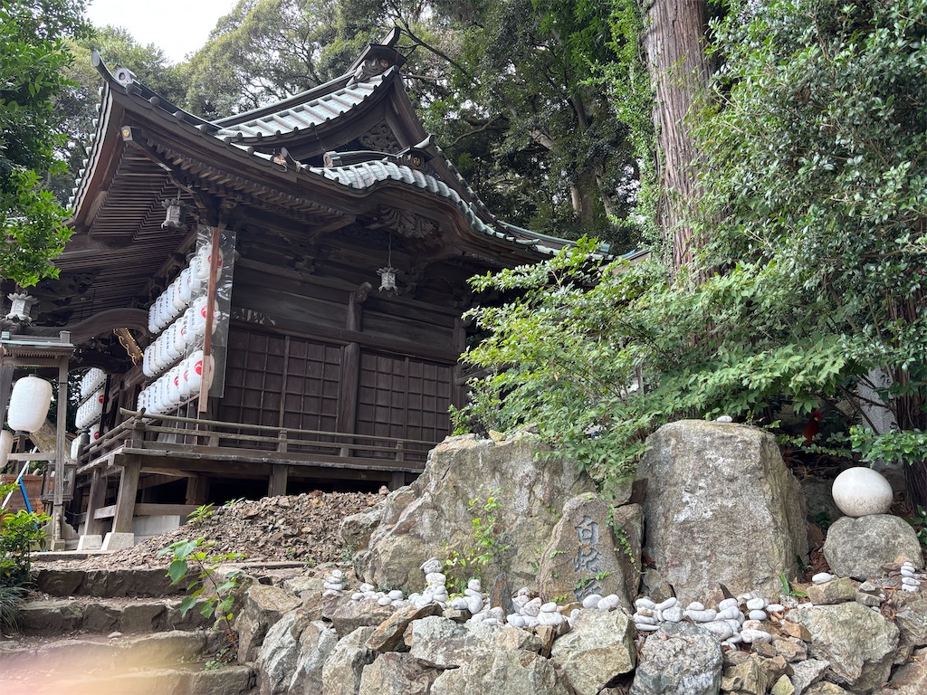 f:id:carrothalo:20260901075500j:image f:id:carrothalo:20260901075500j:image