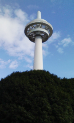 f:id:casaranew3:20160307234152j:plain f:id:casaranew3:20160307234152j:plain