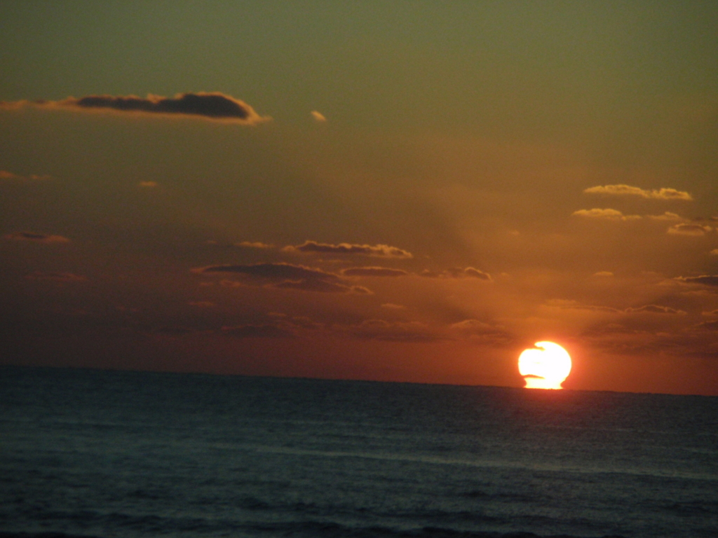 f:id:casaranew3:20160307234234j:plain f:id:casaranew3:20160307234234j:plain