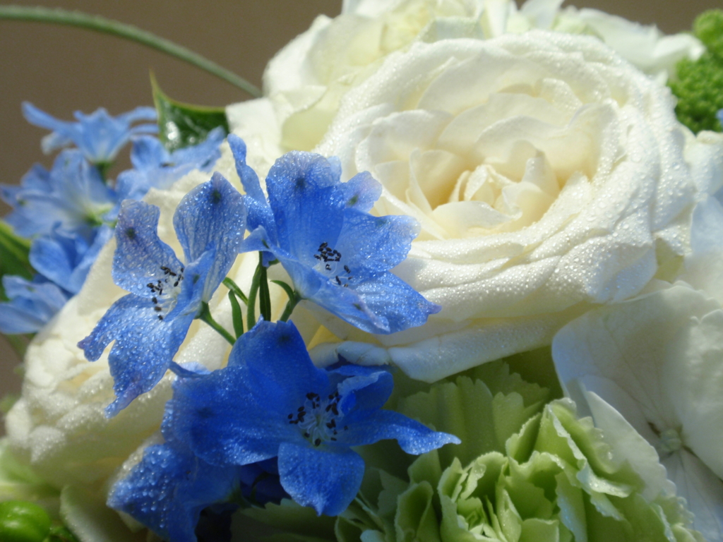 f:id:casaranew3:20160624074817j:plain f:id:casaranew3:20160624074817j:plain