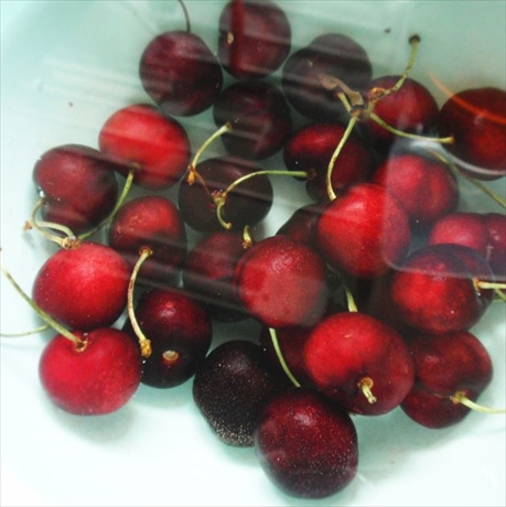 f:id:casaranew3:20170517215820j:plain f:id:casaranew3:20170517215820j:plain