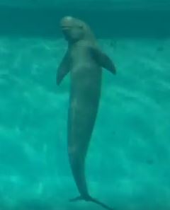 f:id:casaranew3:20171018210715j:plain f:id:casaranew3:20171018210715j:plain