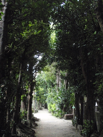 f:id:casaranew3:20171105094703j:plain