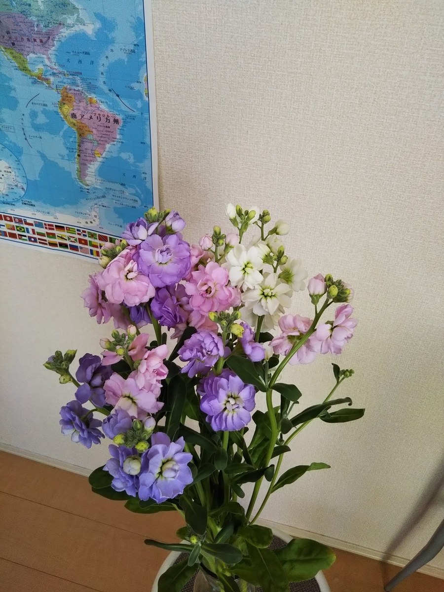 f:id:casaverde102:20220216162005j:plain