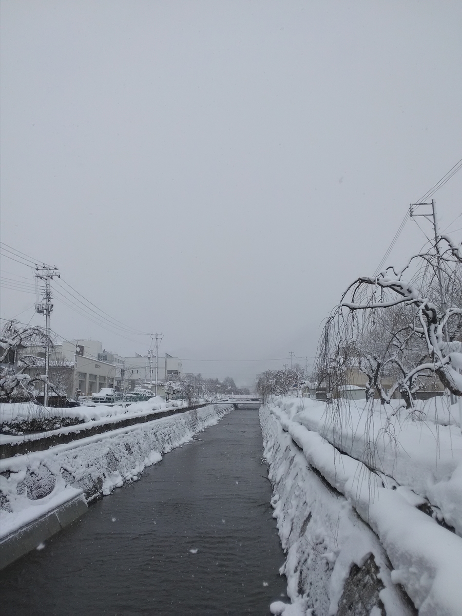 f:id:casaverde102:20220228134057j:plain