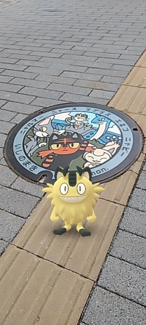 f:id:cascade1185:20240311175445j:image f:id:cascade1185:20240311175445j:image