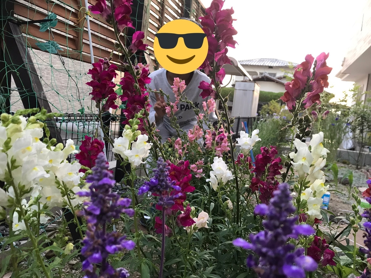 f:id:cascadexxx:20190531213919j:plain f:id:cascadexxx:20190531213919j:plain