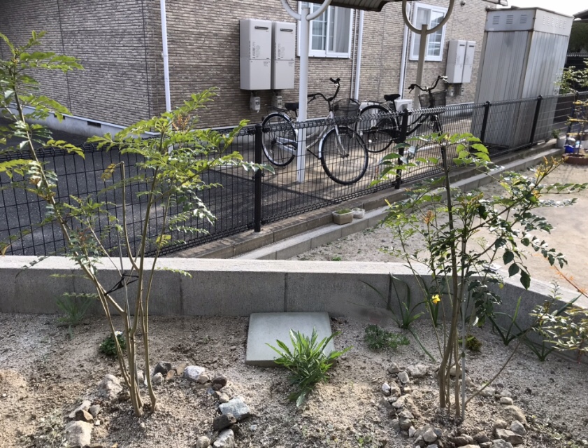 f:id:cascadexxx:20190625100857j:plain