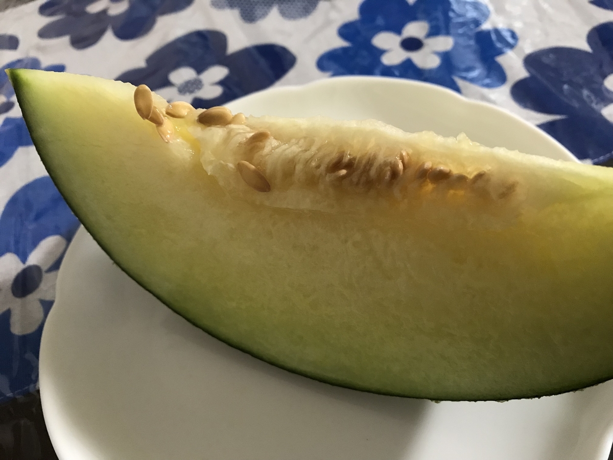 f:id:cascadexxx:20190718103456j:plain
