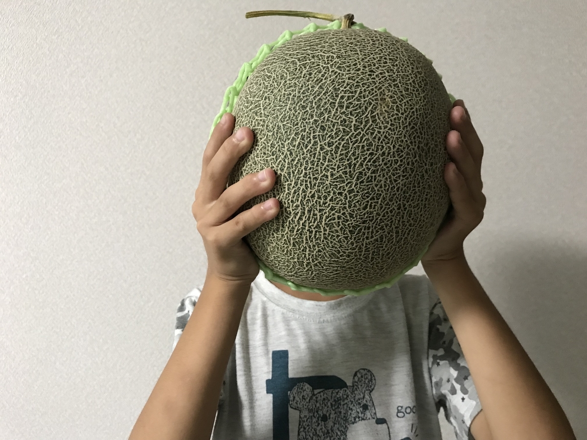f:id:cascadexxx:20190718103514j:plain