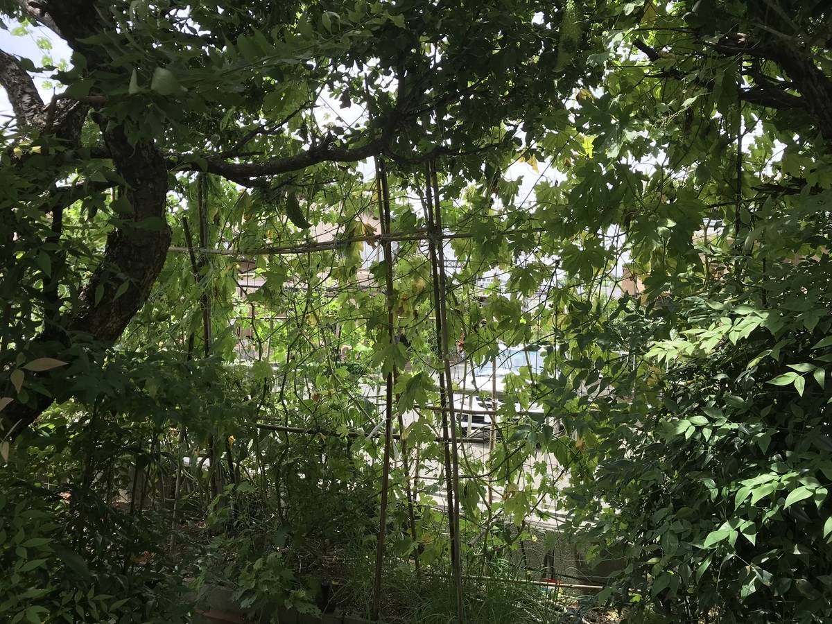 f:id:cascadexxx:20190729144005j:plain