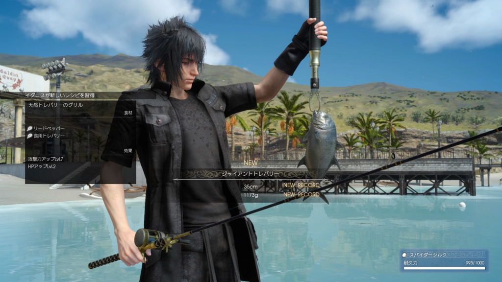 f:id:case56:20161201020657j:plain f:id:case56:20161201020657j:plain