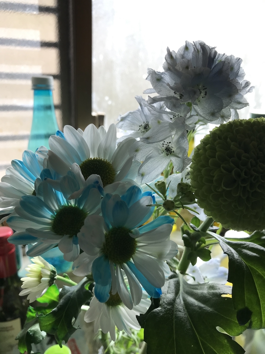 朝の光に包まれたお花