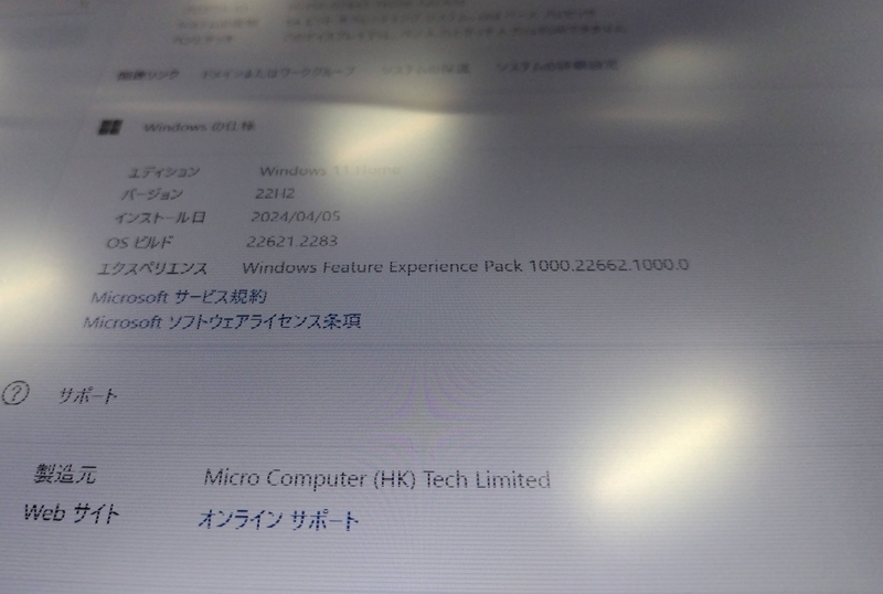 GOFATOO P110N-256GB